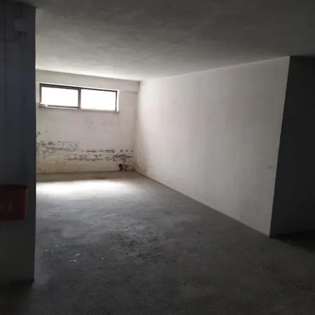 דירה What A Fish