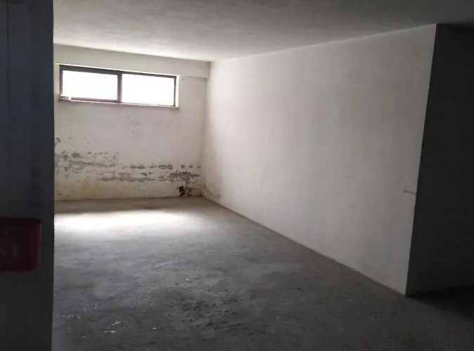 Apartament What A Fish